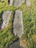 image of grave number 658950